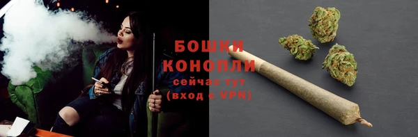мдпв Верхний Тагил