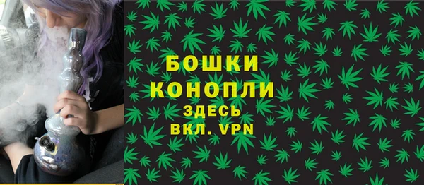 мдпв Верхний Тагил