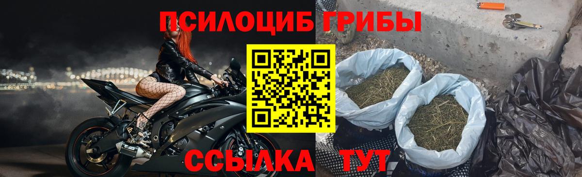 Галлюциногенные грибы Magic Shrooms Воткинск